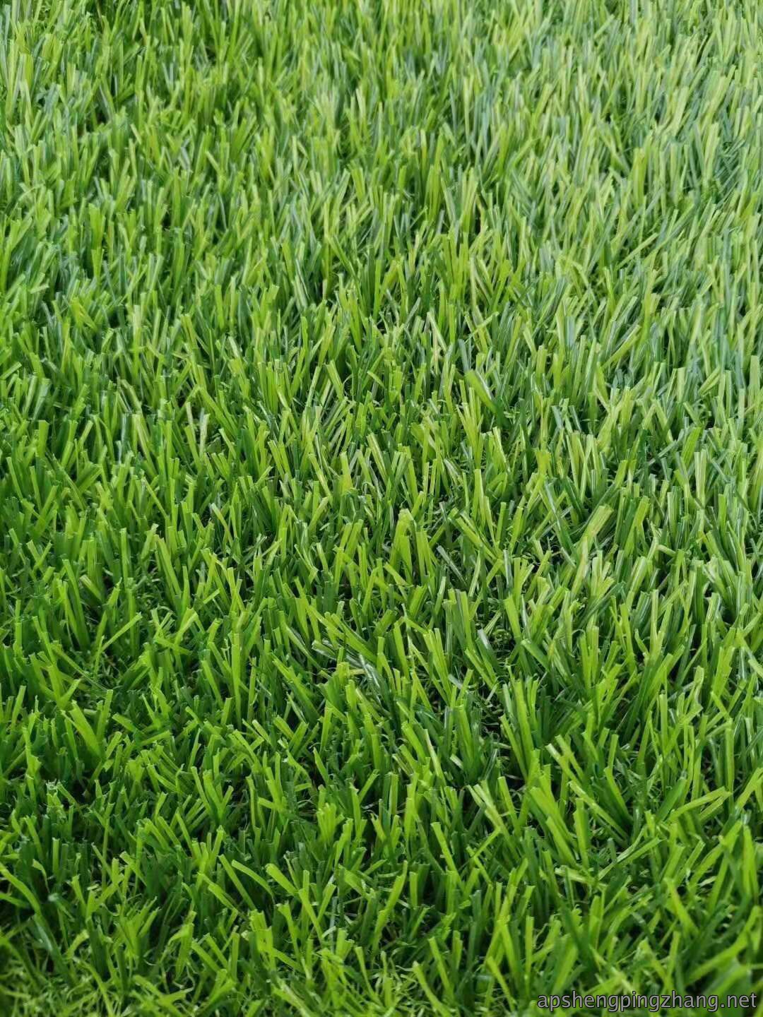 草坪系列